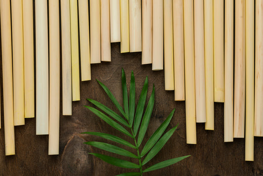 Bamboo: The Sustainable Alternative to Plastic and Traditional Materials