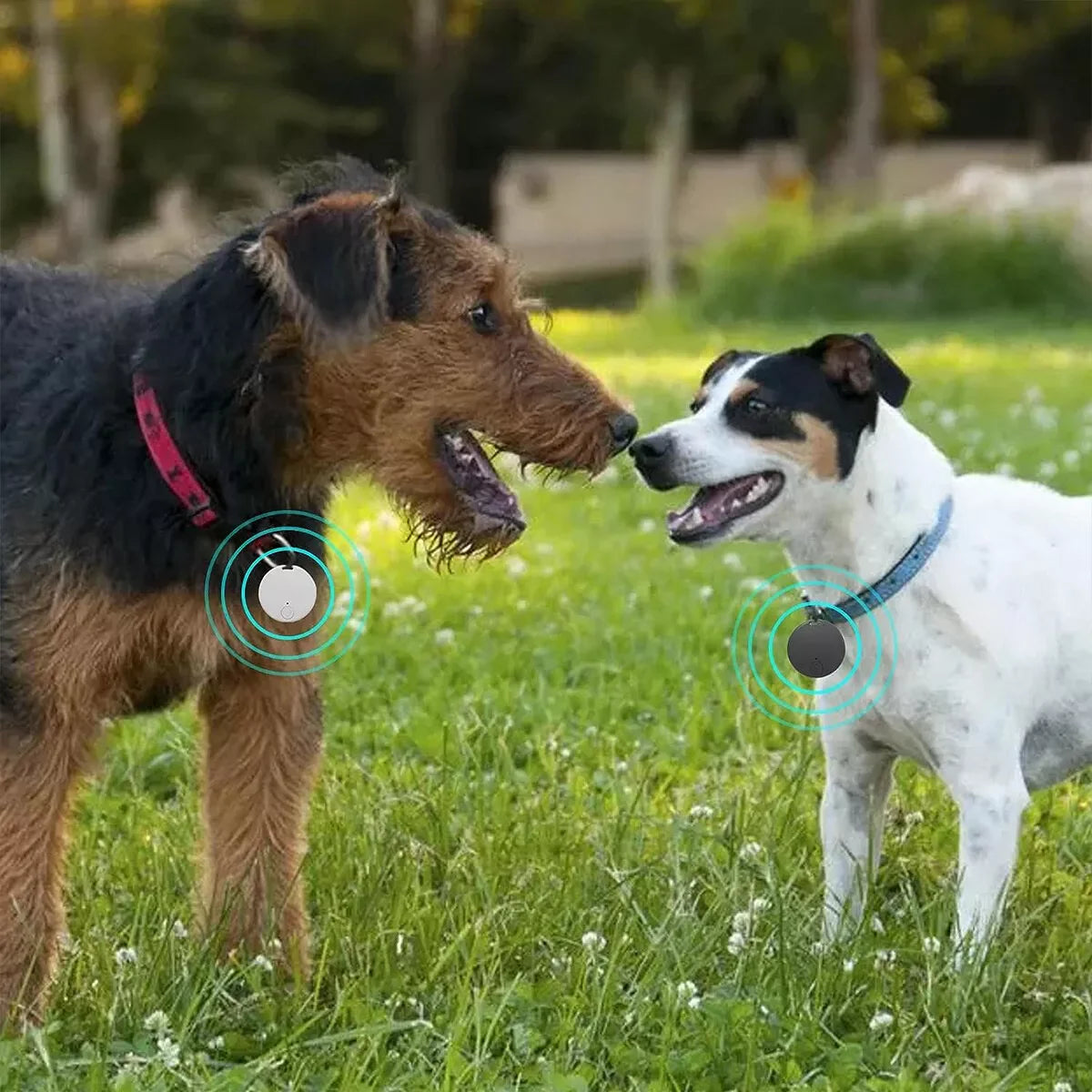 Bluetooth Mini GPS Tracking Key Tag for Children and Pets